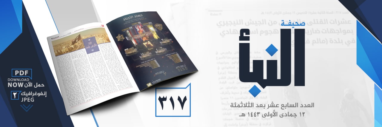 العدد 317