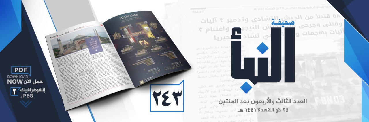 العدد 243