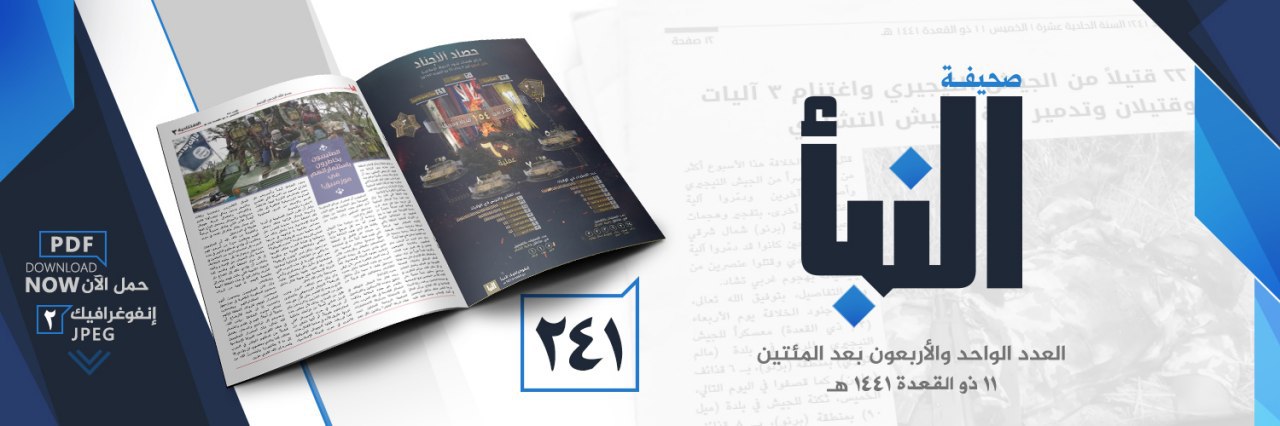 العدد 241