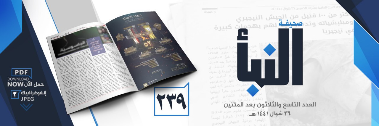 العدد 239