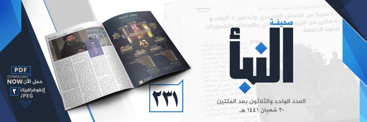 العدد 231