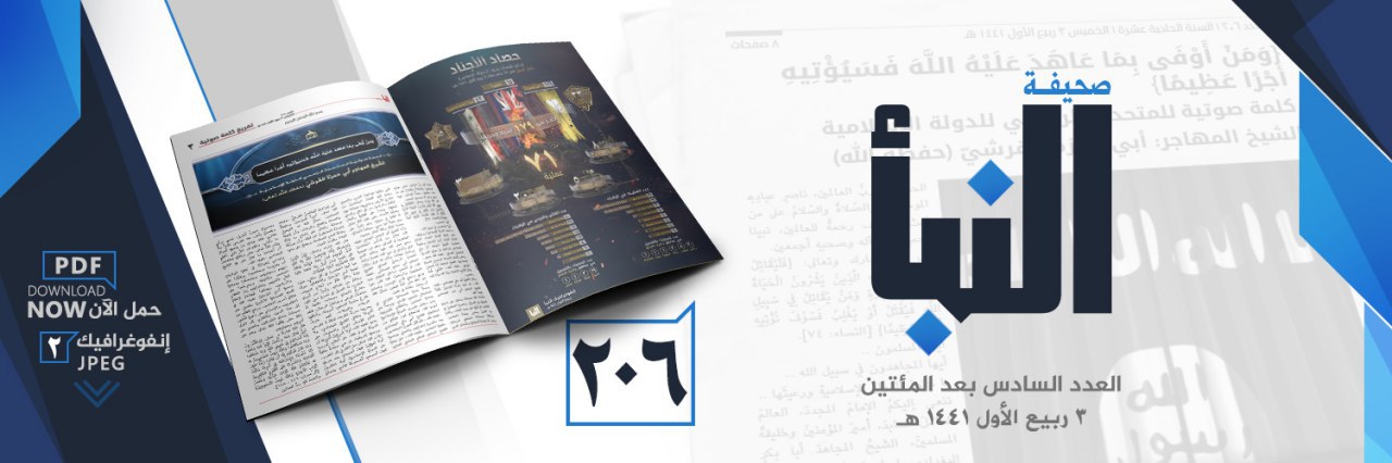 العدد 206