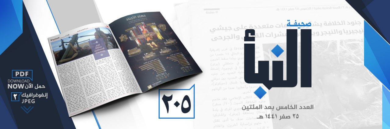 العدد 205