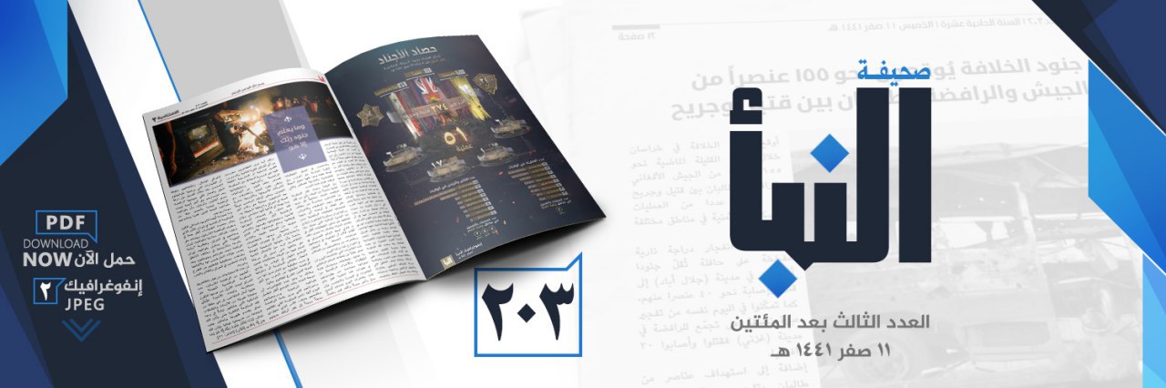 العدد 203