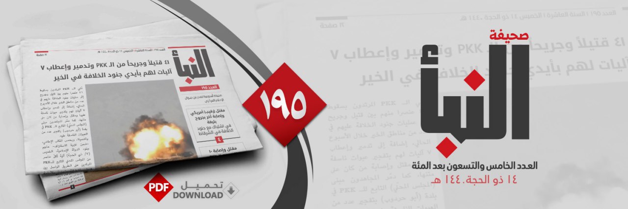 العدد 195