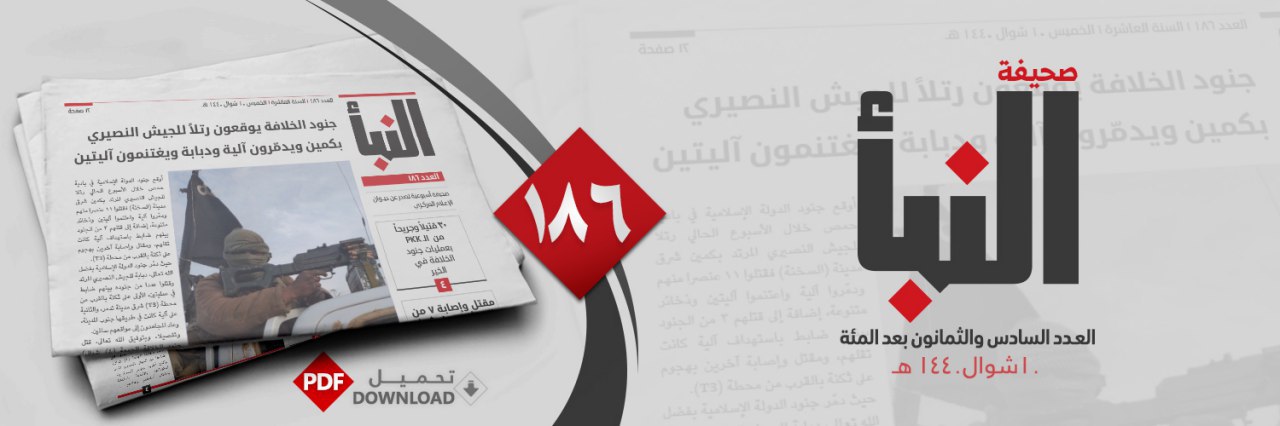 العدد 186