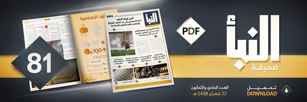 العدد 81