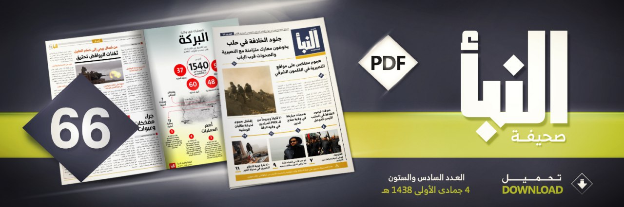 العدد 66