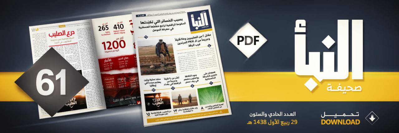العدد 61