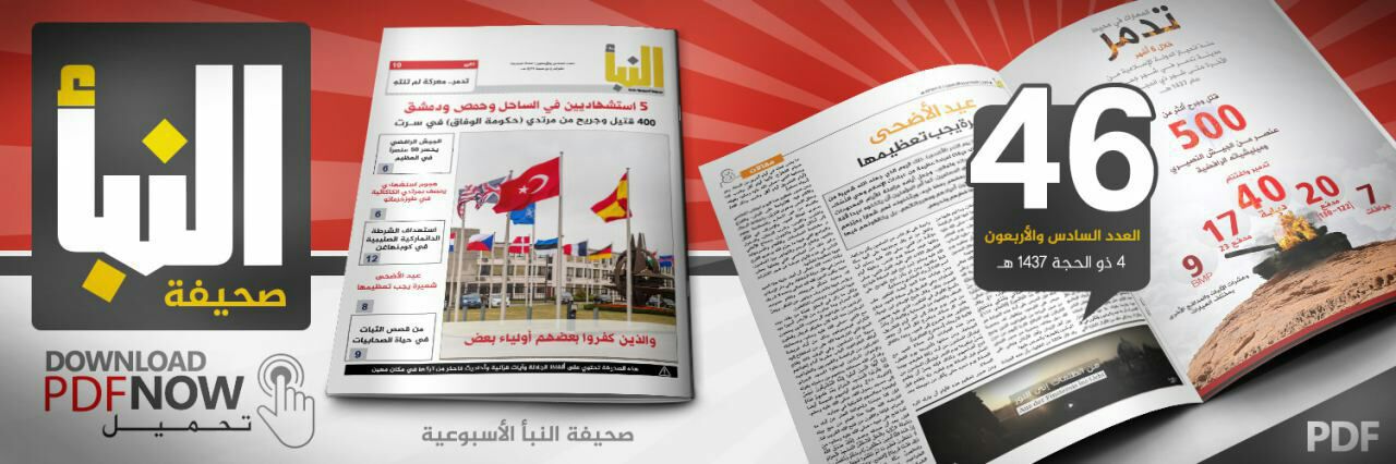 العدد 46