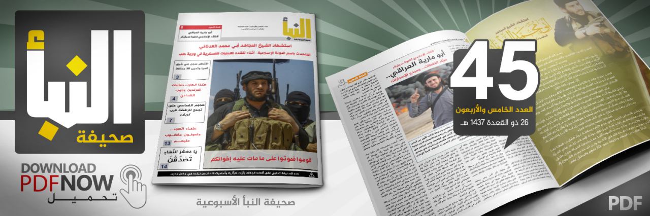 العدد 45
