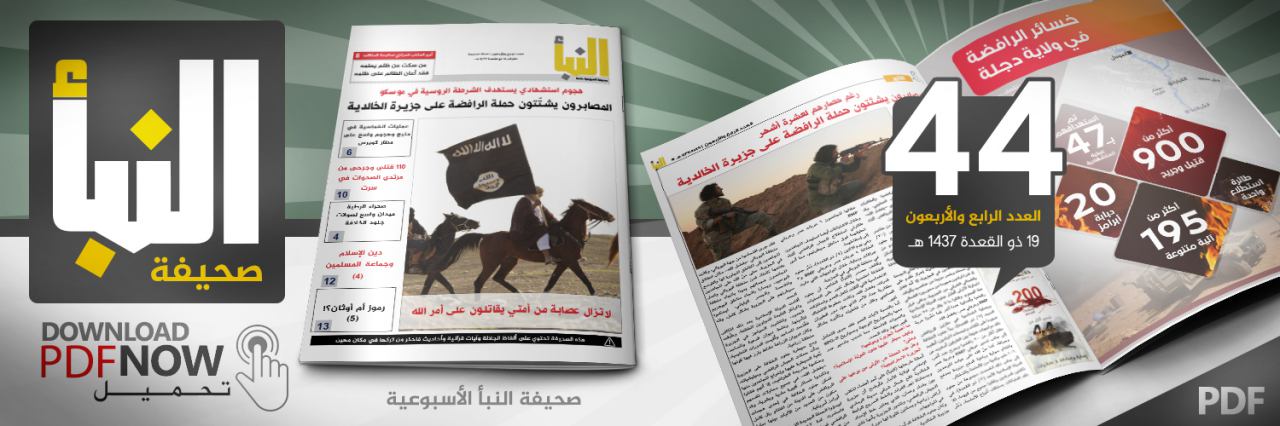 العدد 44