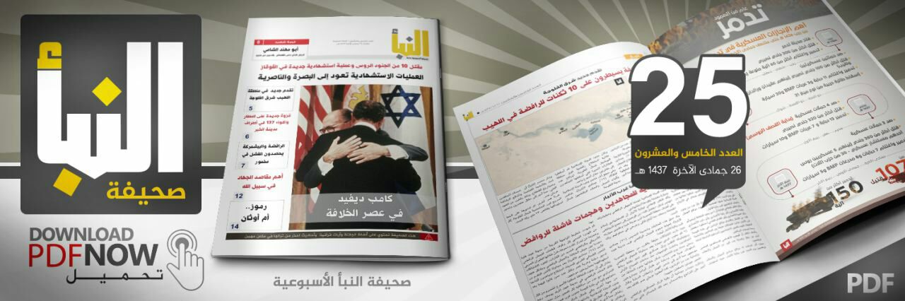 العدد 25