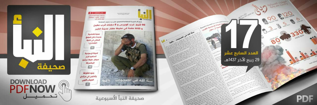 العدد 17