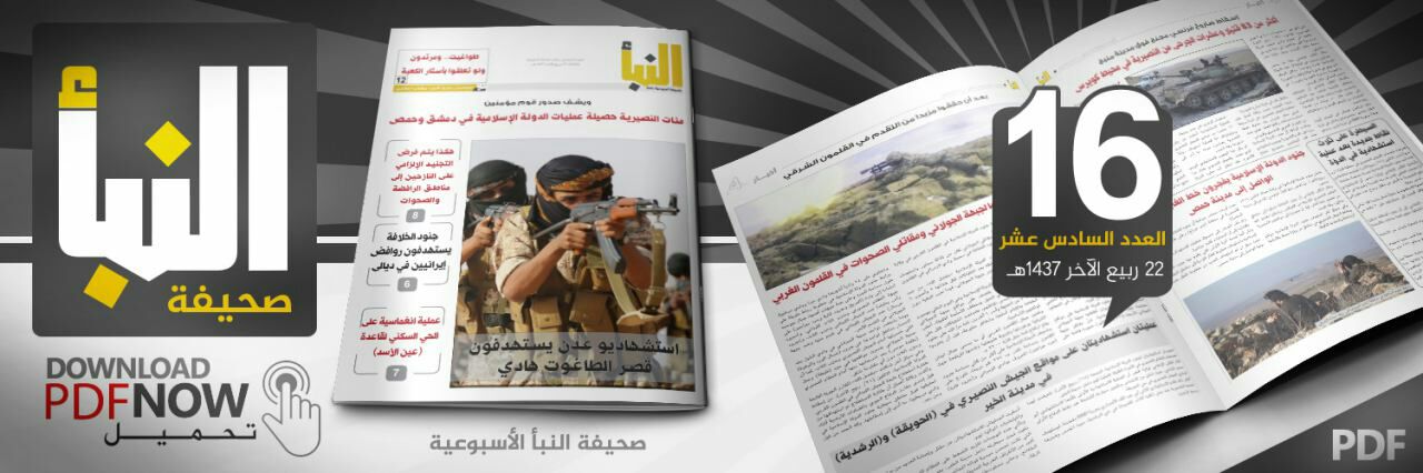 العدد 16