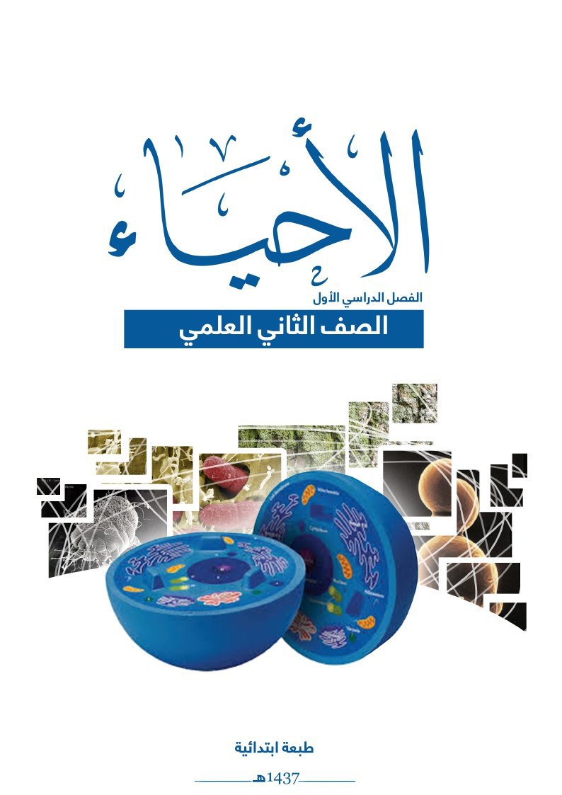 الأحياء