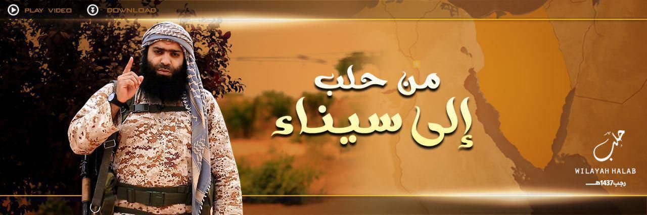 من حلب إلى سيناء - وِلاية حَلَب