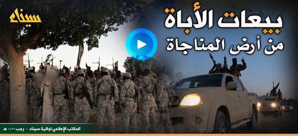 بيعات الأباة من أرض المناجاة - وِلاية سيناء