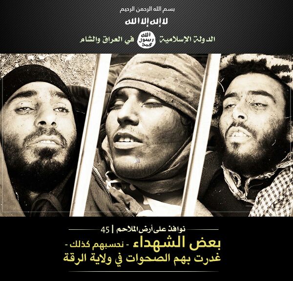 نوافذ على أرض الملاحم 45 - مؤسسة الاعتصام