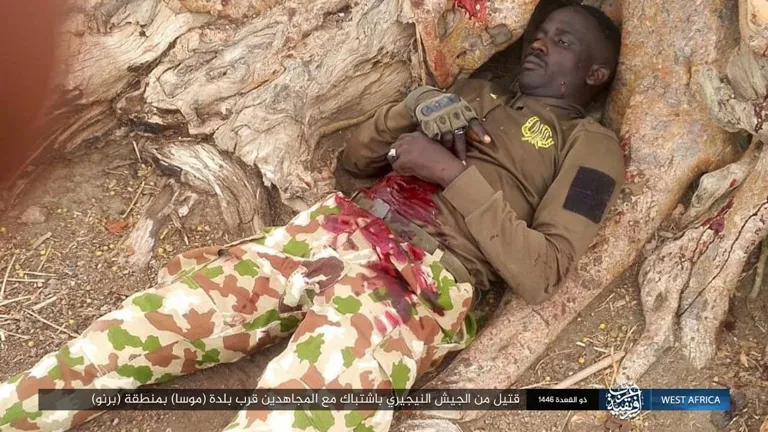 ولاية غرب إفريقية – صور: نتائج اشتباك جنود الخلافة مع دورية للجيش النيجيري المرتد قرب بلدة (موسا) بمنطقة (برنو) شمالي نيجيريا